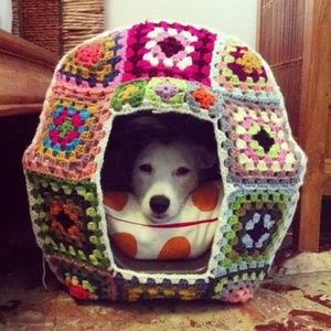 Special cat cave, cat bed, or pillows for …